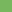 Swatch - Honeydew